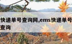 ems快递单号查询网,ems快递单号查询网上查询