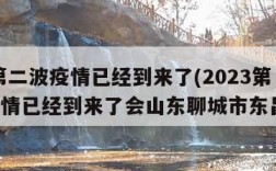 2023第二波疫情已经到来了(2023第二波疫情已经到来了会山东聊城市东昌府区)