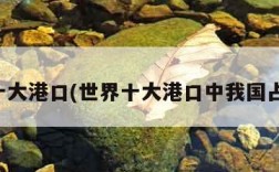 世界十大港口(世界十大港口中我国占几个)